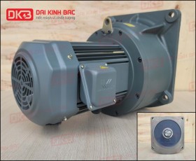 ĐỘNG CƠ GIẢM TỐC MẶT BÍCH WANSHSIN GV40-3700W-20S