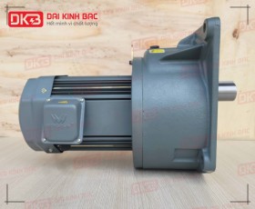 ĐỘNG CƠ GIẢM TỐC MẶT BÍCH WANSHSIN GV40-3700W-3S