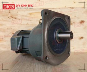 ĐỘNG CƠ GIẢM TỐC MẶT BÍCH WANSHSIN GV40-750W-150S