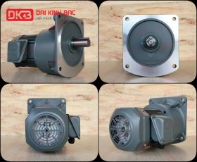 ĐỘNG CƠ GIẢM TỐC MẶT BÍCH WANSHSIN GV40-750W-200S