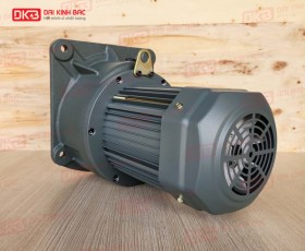 ĐỘNG CƠ GIẢM TỐC MẶT BÍCH WANSHSIN GV50-1500W-200S