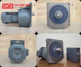 ĐỘNG CƠ GIẢM TỐC MẶT BÍCH WANSHSIN GV50-3700W-40S