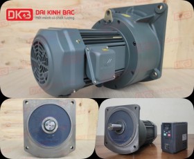 ĐỘNG CƠ GIẢM TỐC MẶT BÍCH WANSHSIN GV50-3700W-50S