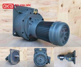 ĐỘNG CƠ GIẢM TỐC MẶT BÍCH WANSHSIN GV50-750W-15000S
