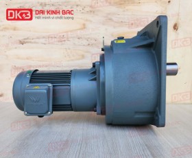 ĐỘNG CƠ GIẢM TỐC MẶT BÍCH WANSHSIN GV50-750W-7000S