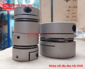 GIÁ KHỚP NỐI ĐĨA ĐÀN HỒI DGS