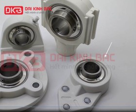 GỐI BI INOX VỎ NHỰA SUCFB 207 PL