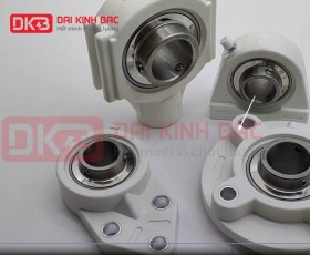 GỐI BI INOX VỎ NHỰA SUCFB 209 PL