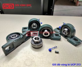 GỐI ĐỠ VÒNG BI UCP 213