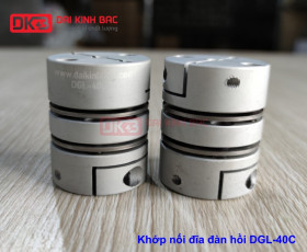 KHỚP NỐI ĐĨA ĐÀN HỒI DGL-40C