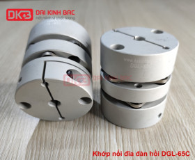 KHỚP NỐI ĐĨA ĐÀN HỒI DGL-65C