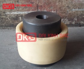 KHỚP NỐI RĂNG VỎ NHỰA RGF55