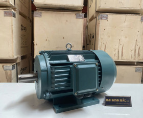 Mô Tơ Điện 3 Pha 37KW - 50HP