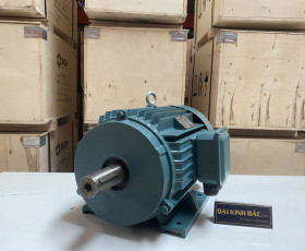 Mô Tơ Điện 3 Pha 45KW - 60HP