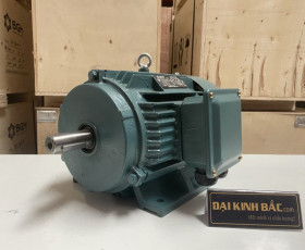 Motor Điện 0.25kw - 0.37HP 8 Cực 8P