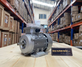 Motor Điện 0.55KW - 0.75HP 4 cực 4P