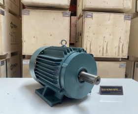 Motor Điện 110KW - 150HP 2 cực 2P