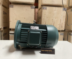 Motor Điện 11KW - 15HP 8 Cực 8P