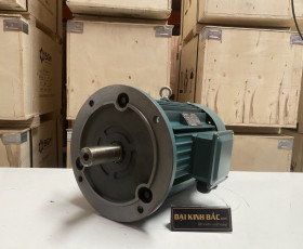 Motor Điện 132KW - 180HP 2 cực 2P