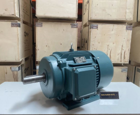 Motor Điện 15KW - 20HP 8 Cực 8P