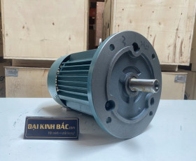 Motor Điện 22KW - 30HP 4 cực 4P