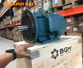 Motor Điện 22KW - 30HP 8 Cực 8P