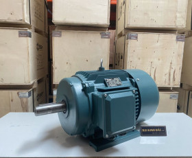 Motor Điện 250KW - 340HP 4 Cực 4P