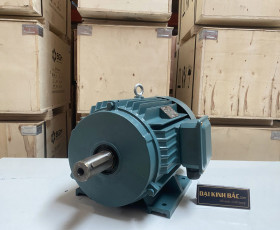 Motor Điện 3 Pha 110KW - 150HP