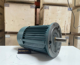 Motor Điện 3 Pha 11KW - 15HP