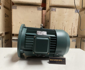 Motor Điện 3 Pha 132KW - 180HP