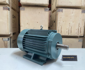 Motor Điện 3 Pha 160KW - 200HP