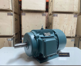 Motor Điện 3 Pha 45KW - 60HP