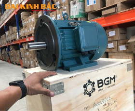 Motor Điện 30KW - 40HP 8 Cực 8P