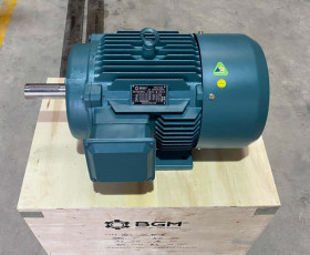 Motor Điện 55KW - 75HP 6 cực 6P