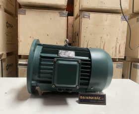 Motor Điện 55KW - 75HP 8 Cực 8P