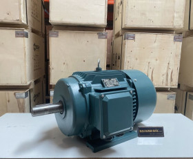 Motor Điện 75KW - 100HP 8 Cực 8P