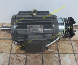 Motor Điện Liền Phanh Từ Đuôi