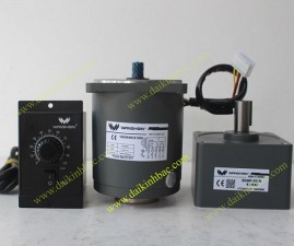 Motor Mini 25W