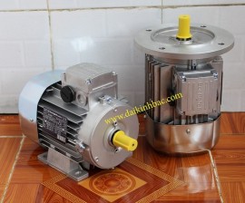 Motor Điện Bonfiglioli