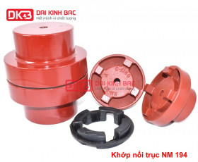 NM 194 - Khớp Nối Trục Đệm Cao Su Giảm Chấn NM