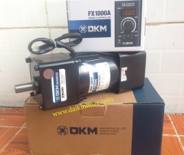 Động Cơ DKM 1 Pha 220V