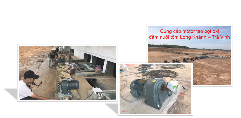 Cung cấp động cơ gạt phân trang trại chăn nuôi heo Việt Thái – Bình Phước
