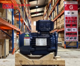 ĐỘNG CƠ ĐIỆN IE2 HYOSUNG 1.5KW-4P-380V-TE-F-IE2